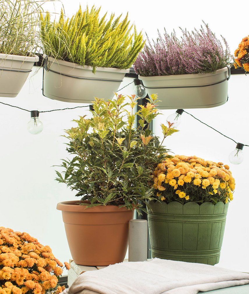 Den Indian Summer ins Haus holen