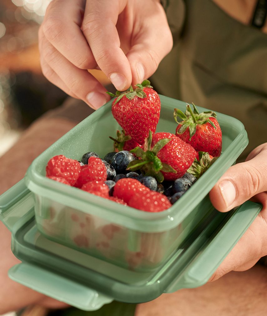Beeren richtig lagern und frischhalten